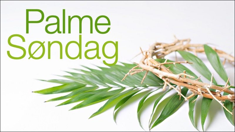 29.03.26 Palmesøndag